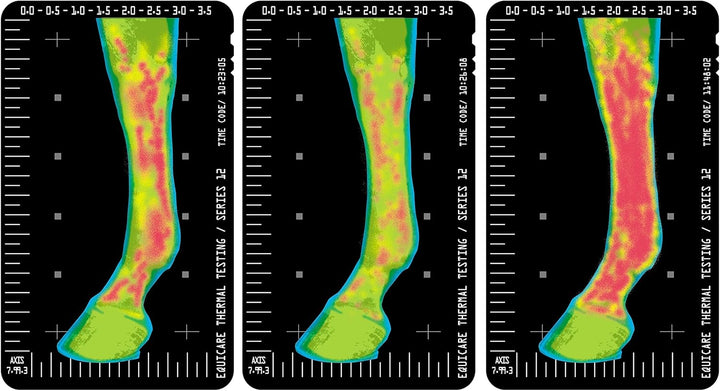 Thermaflex Liniment Gel for Sore Muscles and Joint Relief in Horses 12 Fluid Ounces