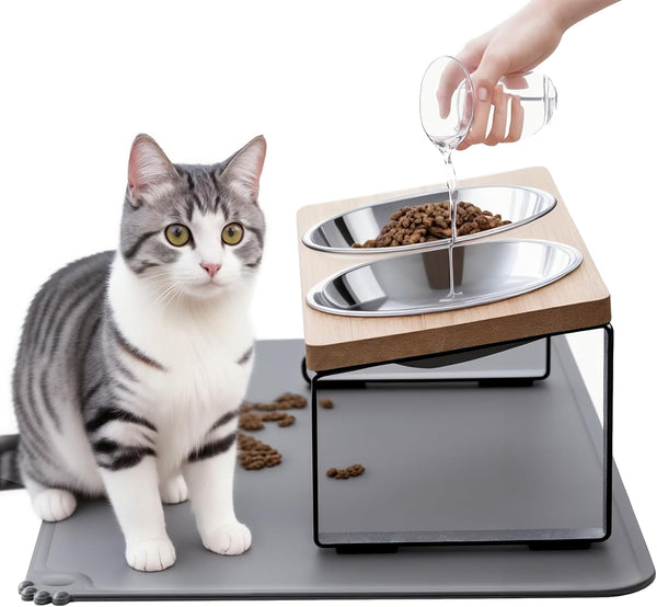 Upgraded Elevated Cat Bowls with Food Mat,15°Tilted Stand anti Vomiting Raised Cat Dishes for Food and Water,2 Stainless Steel Bowls for Cats and Puppy