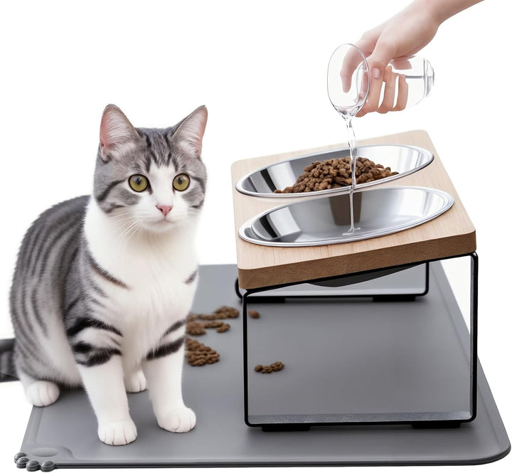 Upgraded Elevated Cat Bowls with Food Mat,15°Tilted Stand anti Vomiting Raised Cat Dishes for Food and Water,2 Stainless Steel Bowls for Cats and Puppy