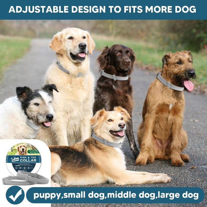 Flea Collar for Dogs, 8 Months Protection Flea & Tick Collars for Dogs, Dog Tick Collar, Adjustable One Size Fits All 2 Count ﻿