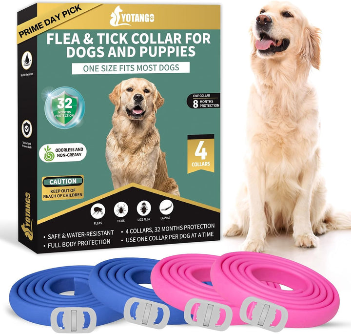 4 Pack Flea Collar for Dogs, Dog Flea Collar Waterproof, 32 Months Prevention, Dog Fleas and Tick Treatment, Adjustable Fleas and Tick Protection for Dogs Puppy(Blue & Pink)