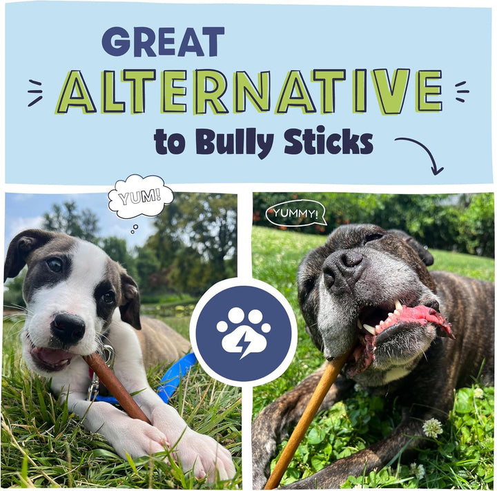 All Natural 11-12" Roasted Collagen Sticks for Dogs – Low Odor & Long-Lasting Bully Stick & Rawhide Alternative, Single Ingredient, Vet Approved – 5 Pack