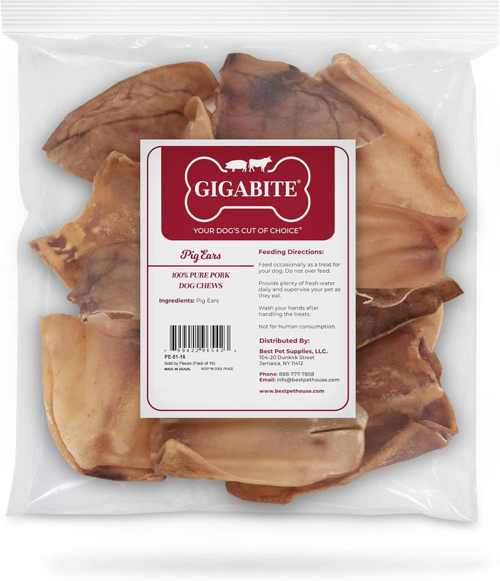 Gigabite Roasted Pig Ears for Dogs - Natural Dog Chews, Roasted Pigs Ears, Safe for Puppies and Aggressive Chewers, Cleans Teeth and Gums - Whole Ears, Pack of 22