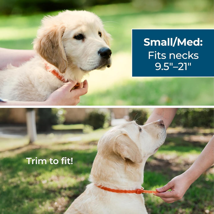 Dog Collar - Flea, Tick, and Mosquito Repellent for Dogs - with Natural Essential Oils - up to 4 Months Protection - Small Medium