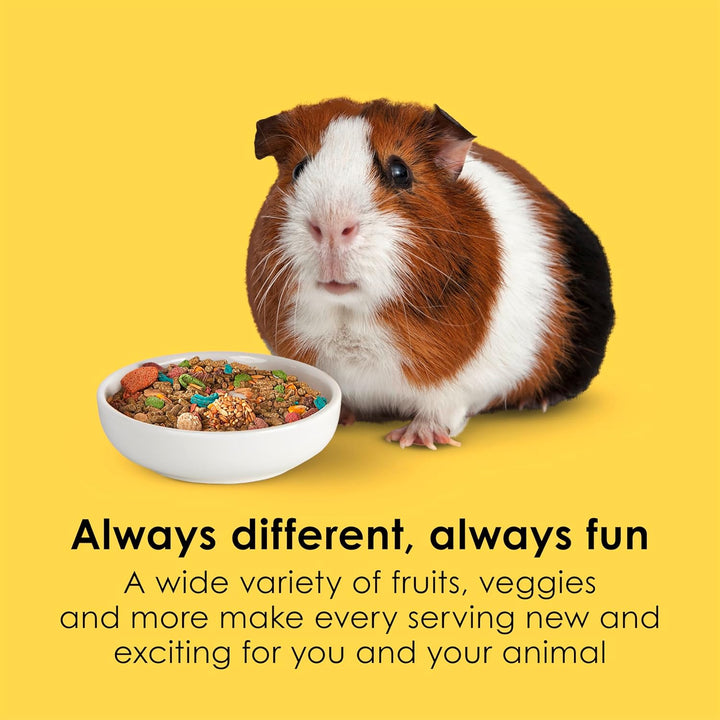 Fiesta Guinea Pig Food, Nutritious and Fun Blend, Supports Dental Health and Digestion, 4.5 Pounds