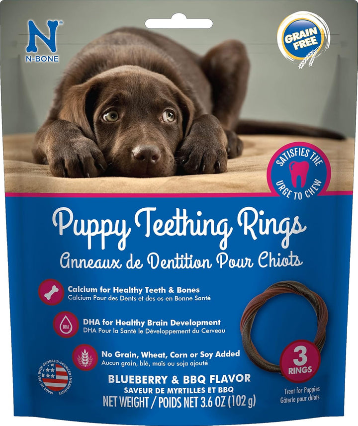 Puppy Teething Ring Pumpkin Flavor 7.2 OZ/(6 Pack)