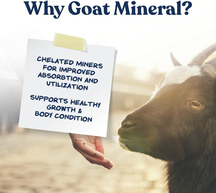 Goat Mineral Supplement, Essential Vitamins & Minerals for Growth & Development, Includes Ammonium Chloride & Microbial Blend for Digestive Health, 8 Lbs