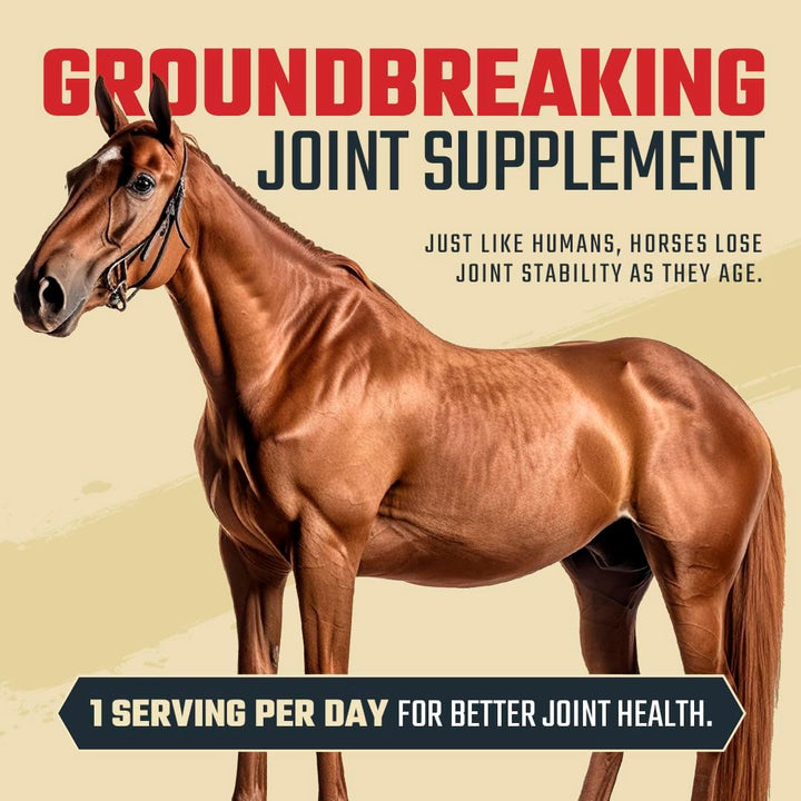 8 in 1 Maximum Strength Equine Joint Supplement - Joint Supplement for Horses - Glucosamine, MSM, Chondroitin, Turmeric, Hyaluronic Acid, Manganese, & Boswelia - 964G (30 Servings)