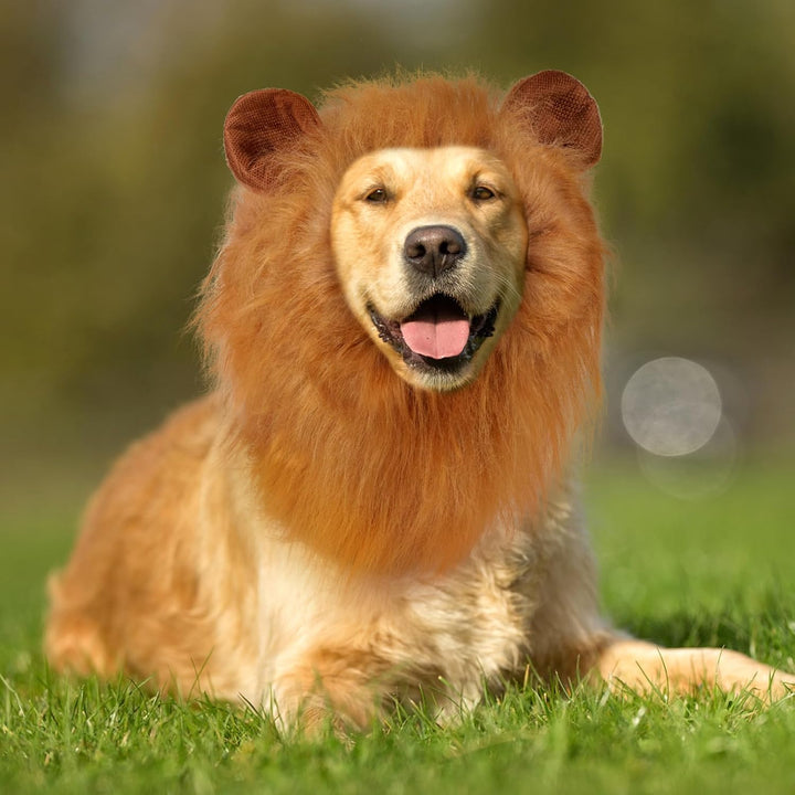 Lion Mane for Dog Costume, Realistic Funny Lion Wig for Medium to Large Sized Dogs, Halloween Fancy Mane (Brown Ear Tail)