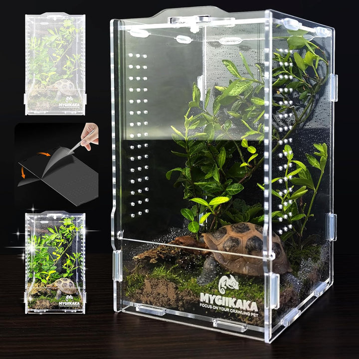 Acrylic Jumping Spider Habitat, Insect Terrarium, Bug Enclosure, Praying Mantis Habitat, Frog Enclosure