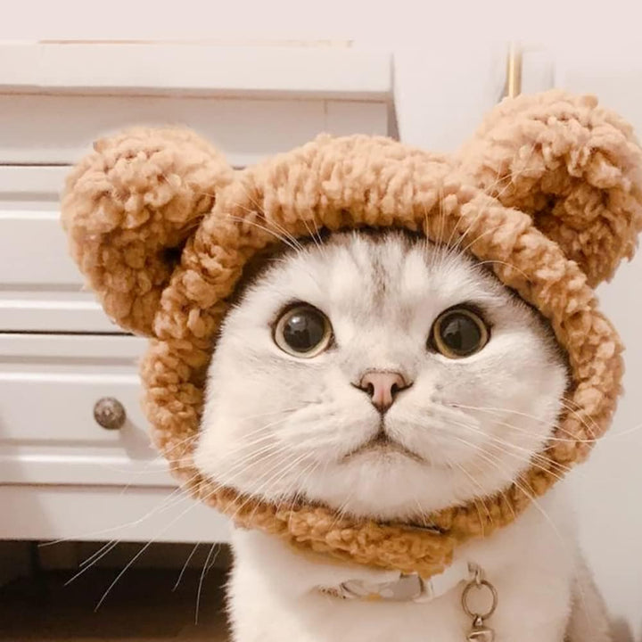 Cute Cat Costume Warm Bear Hat Adjustable Soft Small Pet Headwear for Puppy Dog (Brown)