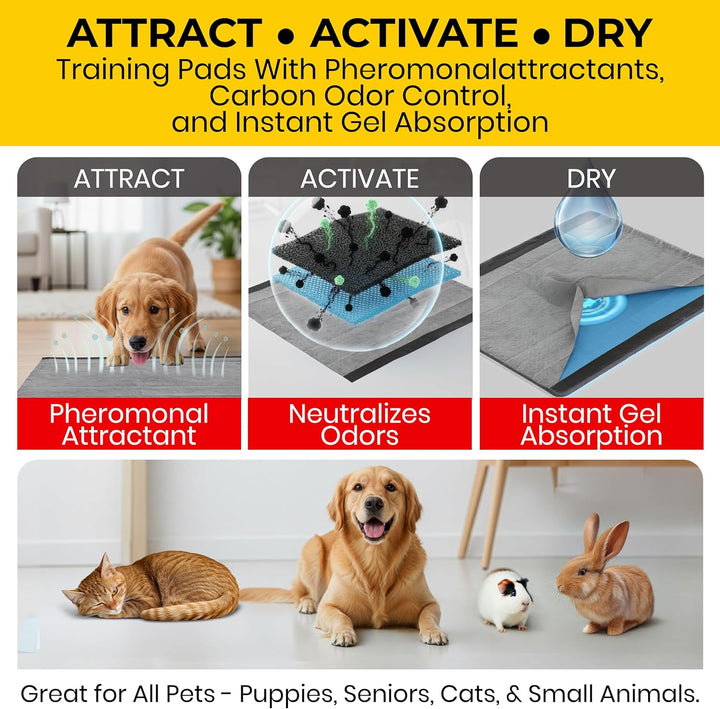 for Pets Black Charcoal Puppy Pads, 23"X23" Disposable Pee Pad That Absorbs & Neutralizes Urine Instantly, Activated Carbon Training Pads for Dogs - 100 Count