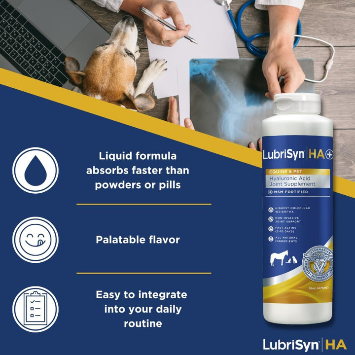 Hyaluronic Acid + MSM Joints Supplement, 16Oz: Natural Pure HA Liquid Dog and Cat Joint & Cartilage Support, Relief, and Lubrication for Pets Including Dogs, Cats and Horses, Vegan Formula