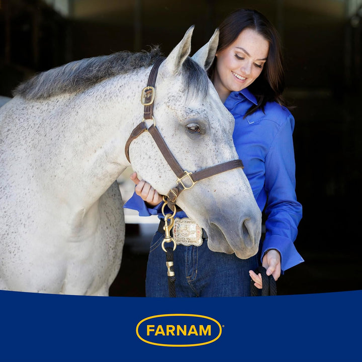 Apple Elite Electrolyte Powder Supplement for Horses, Replaces Vital Minerals, Encourages Hydration, No Added Sugar, 5 Pounds