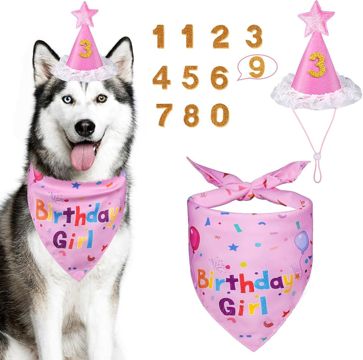 Dog Birthday Party Supplies, Dog Birthday Bandana Set, Dog Boy Girl Birthday Party Hat with Numbers for Large Medium Small Dogs Pet (Blue)