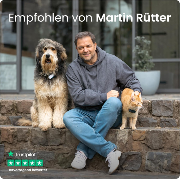 XL Smart Dog GPS Tracker | Live Pet Tracker with Virtual Fence | Vital Signs Monitoring of Heart & Respiratory Rate | up to 1-Month Battery Life | Dog Collar Attachment (Green)