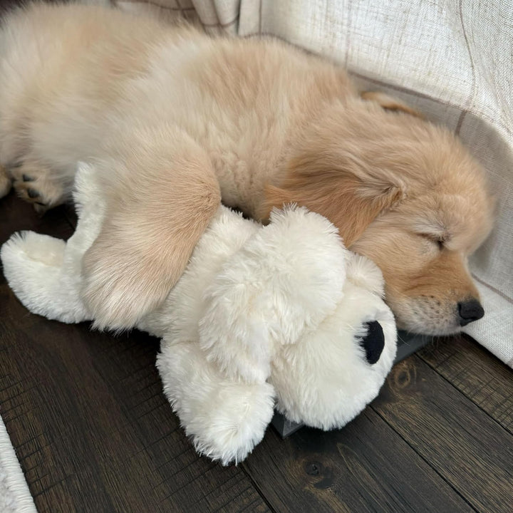 Original  Toys for Small Breeds - Heartbeat Puppy for Dogs - Pet Anxiety Relief and Calming Aid - Comfort Dog Toys for Behavioral Training. Heat Pack Not Included