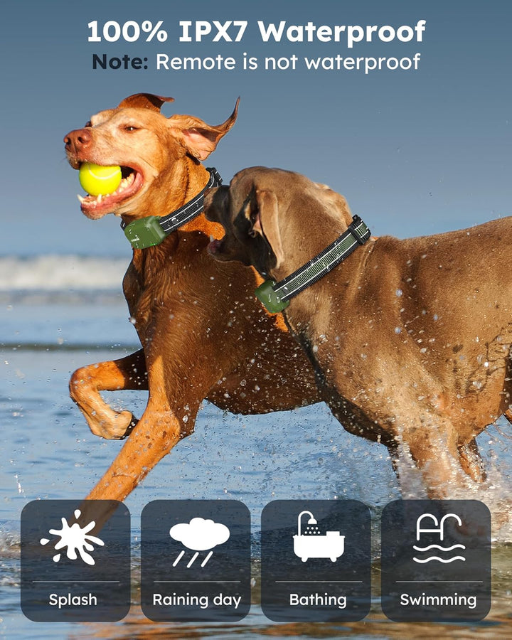 Dog Shock Collar 2 Dogs (10-120Lbs) - 4200FT Dog Training Collar with Remote IPX7 Waterproof Electric Collar with 4 Training Modes, Security Lock, Rechargeable E-Collar for All Breeds, Sizes