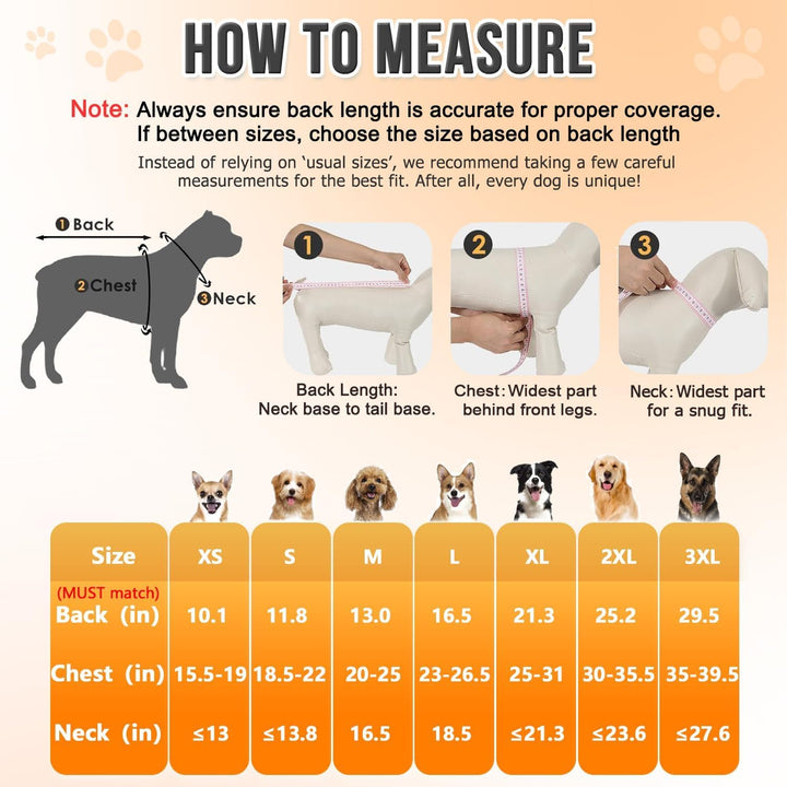 Dog Raincoat, Adjustable Dog Rain Jacket with Clear Hooded Double Layer for Large Medium Small Dogs Puppies, Waterproof Rain Coat Poncho with Reflective Storage Pocket & Rim (Yellow,M)