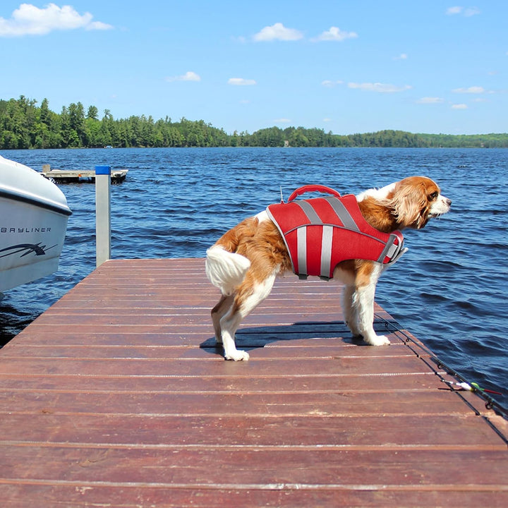 Dog Life Jacket with Reflective Stripes - Adjustable High Visibility Vest, Ripstop Lifesaver, Pet Preserver with High Flotation Swimsuit for Small, Medium and Large Dogs