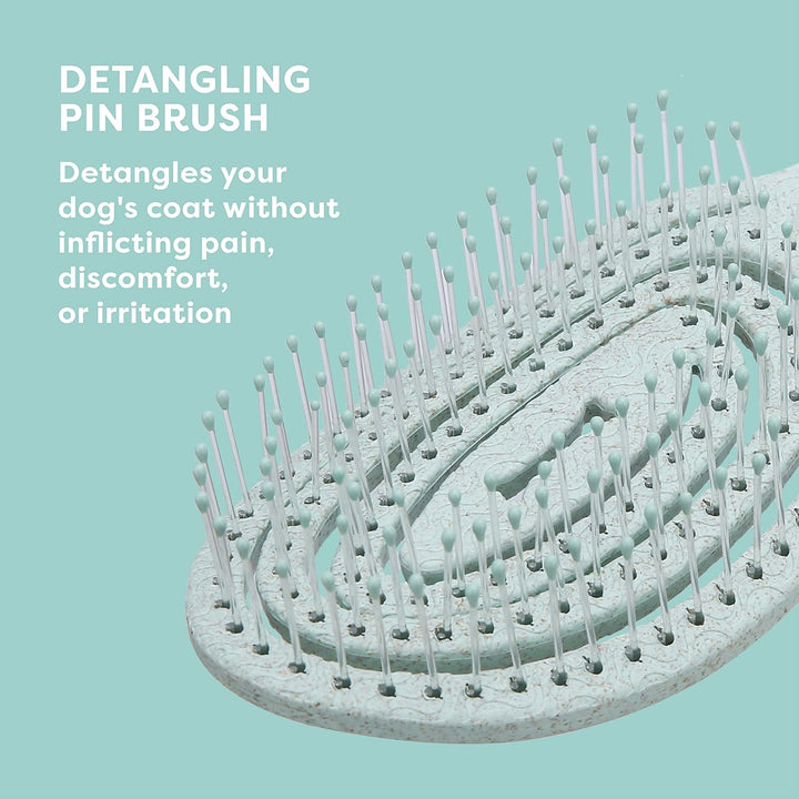 for Pets Eco-Friendly Detangling Pin Brush for Dogs in Mint Green | Easy to Hold Ergonomic Handle Dog Brushes, Wet or Dry Dog Hair Brush, Light Blue (Ff12806),Gray/Black