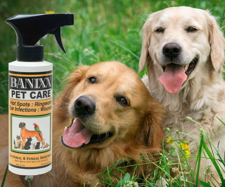 Pet Care for Fungal & Bacterial Infections 8Oz