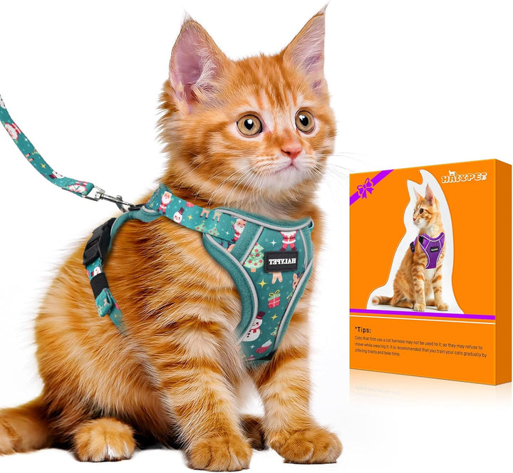Cat Harness and Leash Set - MAX Safety 4Th-Gen Upgrade, Escape Proof, Adjustable, Comfortable Soft Vest, Easy to Wear Kitten Harness with Reflective Strip for Cats Walking - Small Black