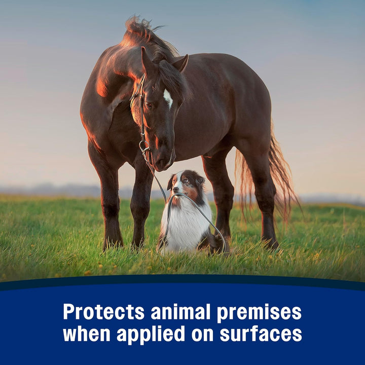 Repel-X Insecticide & Repellent Water-Based Fly Spray for Horses, Dogs and Premises, 32 Ounces