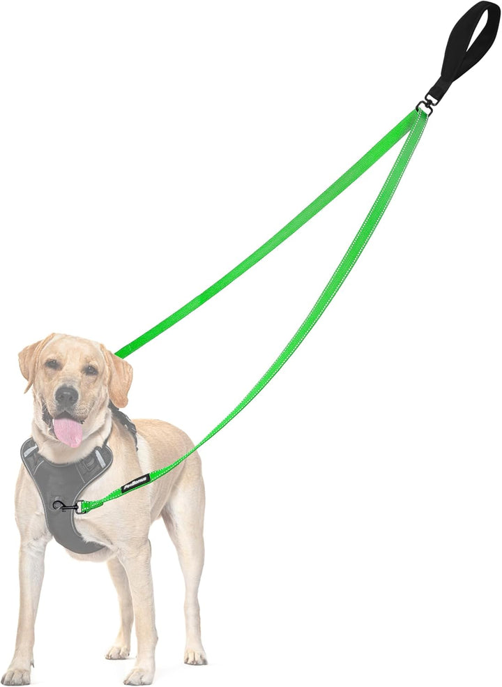 Two Point Control Dog Leash, Works with No Pull Harnesses, No Tangle Training Leashes, Soft Padded and Reflective Walking Lead, Converts to Single Lead for Medium Large Dogs (Black)
