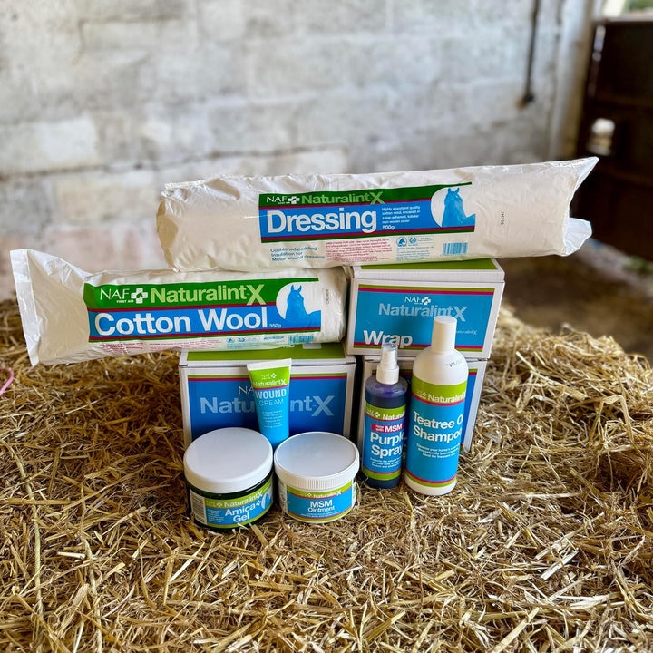 Naturalintxtm Cotton Wool 350G