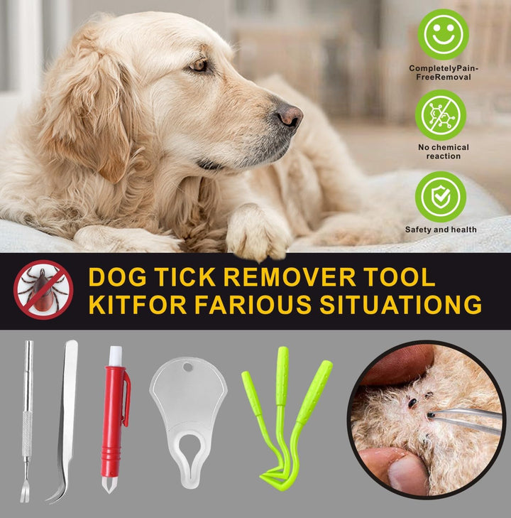 Tick Remover Tool Kit, Stainless Steel Tick Tweezers + Remover Tick Key, 4 Pack Quick & Safe Tick Twister Removal Tools for Dogs Cats Humans