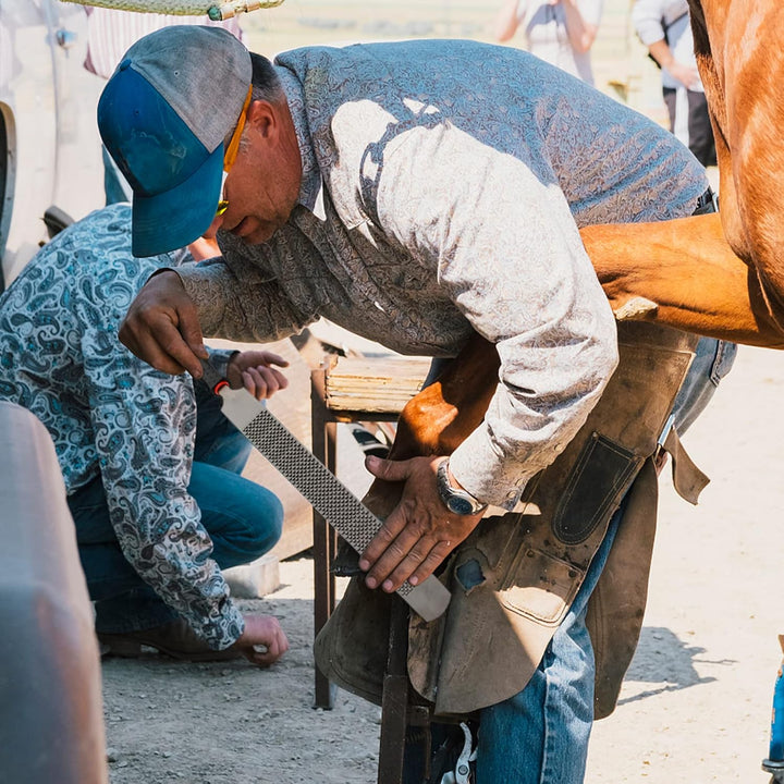 18 Inch Hoof Rasp, Horseshoe File with Rubber Handle, Carbon Steel Farrier File Tool, Suitable for Horse/Goat/Cow/Donkey/Animal Hooves, Strong