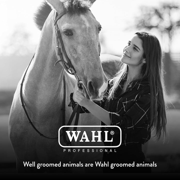 Professional Animal Equine Grooming Stiff Body Horse Brush, Black (#858705)