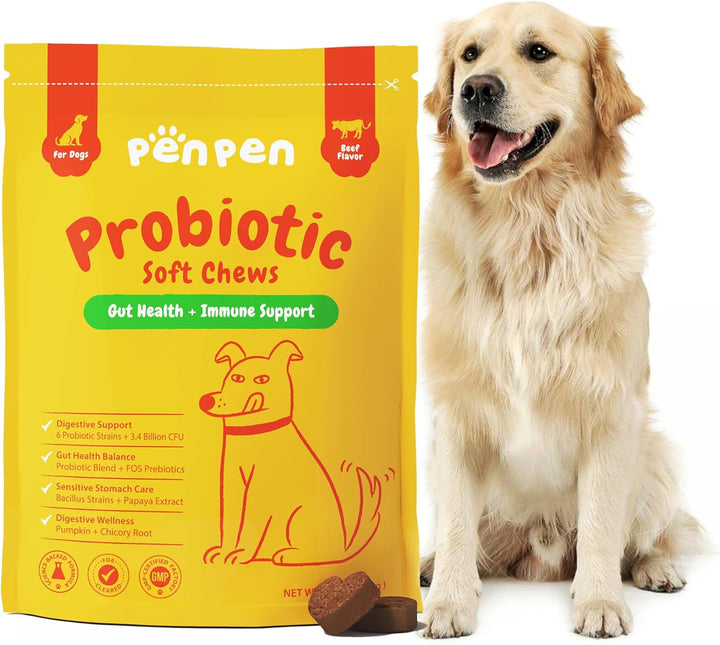 Probiotics for Dogs, Dogs Probiotics for Digestive Health, Multi-Probiotic and Enzyme Blend Promote Gut Health & Immune Support, Eases Sensitive Stomachs (Beef Chews, 50Ct)