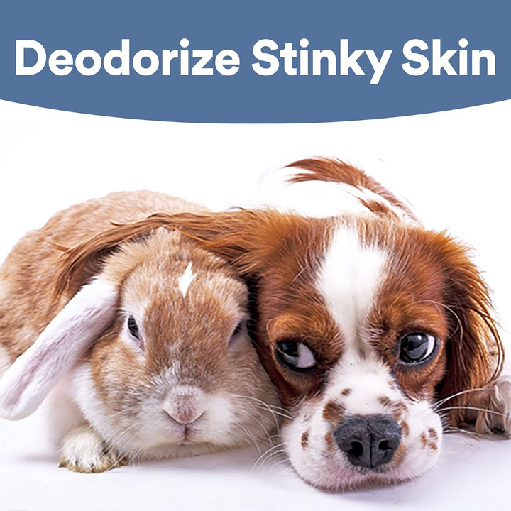 Wound Care for Pets, Hypochlorous Acid Removes Bacteria to Promote Healing and Relieves Itch, Safe If Licked, 8 Ounce Spray Bottle