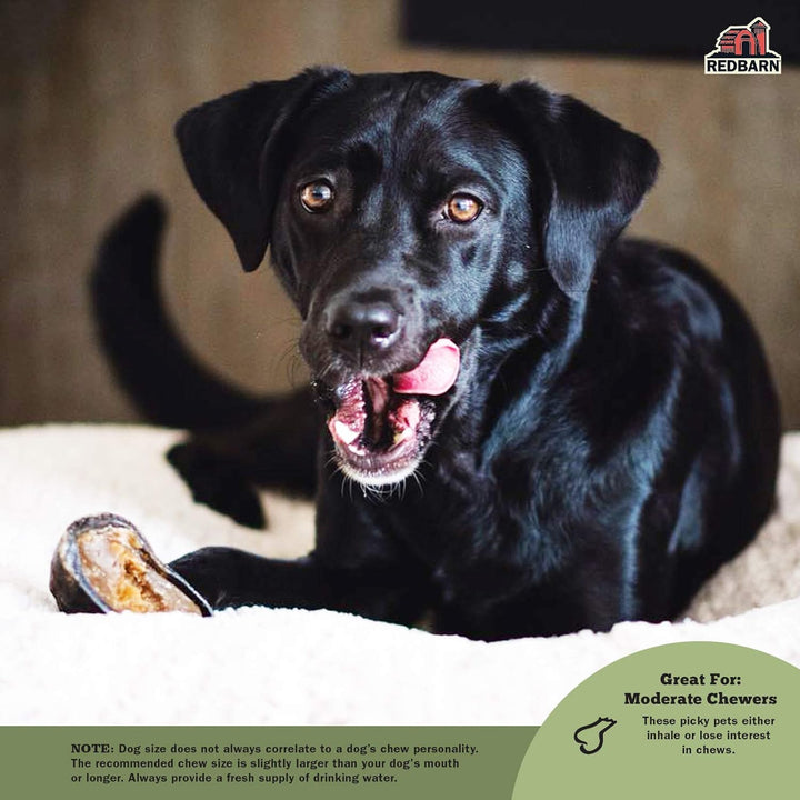 Filled Hooves-Cheese N' Bacon for Dogs, Pack of 25