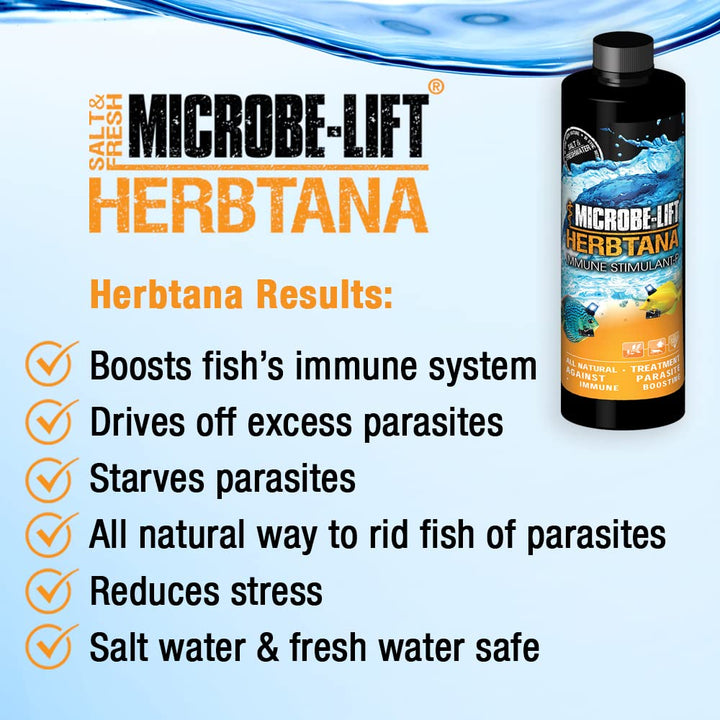 Herbtana Immune Booster and Natural Parasite Remover for Freshwater and Saltwater Home Aquariums and Fish Tanks, 16 Ounces