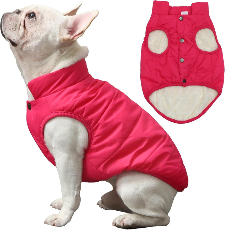 2 Layers Fleece Lined Warm Dog Jacket for Puppy Winter Cold Weather,Soft Windproof Small Dog Coat,Green S