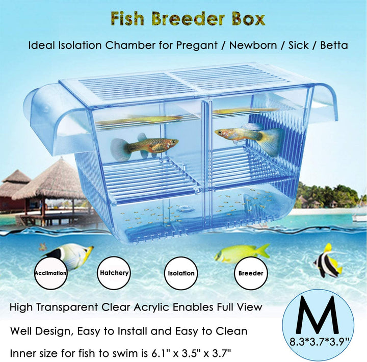 Fish Breeding Box, Acrylic Fish Isolation Box with Suction Cups, Aquarium Acclimation Hatchery Incubator for Baby Fishes Shrimp Clownfish and Guppy... Small Size (S)