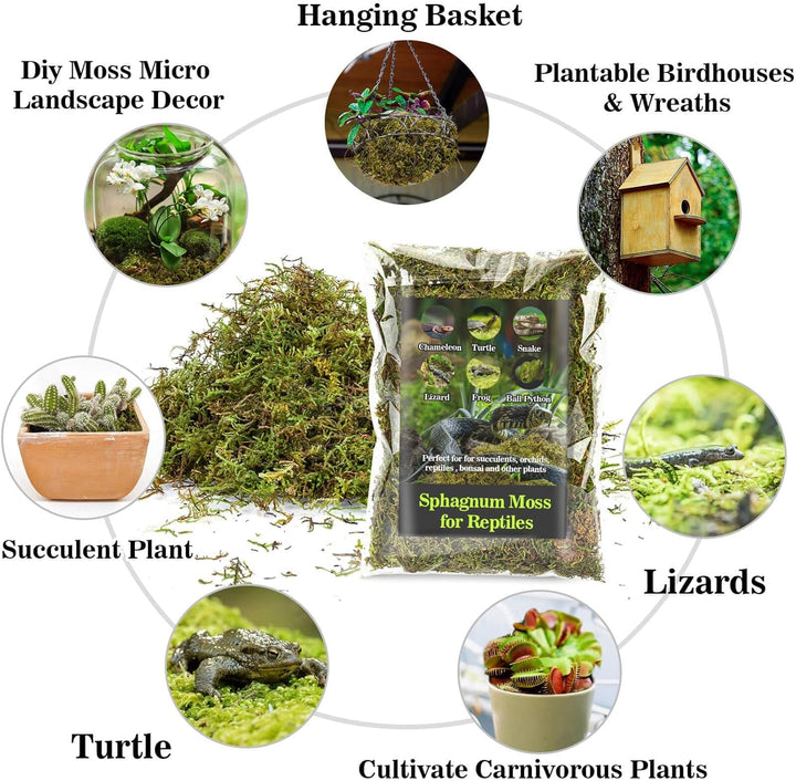 Sphagnum Moss for Reptiles - Terrarium Reptiles Moss Green Dried Peat Moss Habitat Bedding Moss for Snakes Turtle Frog Gecko and Other Reptiles Substrate (5, Ounces)