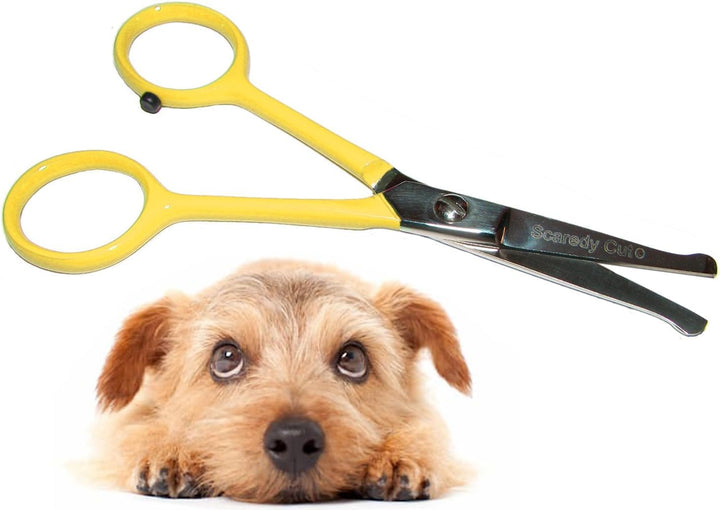 Tiny Trim 4.5" Ball-Tipped Scissor for Dog, Cat and All Pet Grooming - Ear, Nose, Face & Paw - 'S Small Safety Scissor Blue