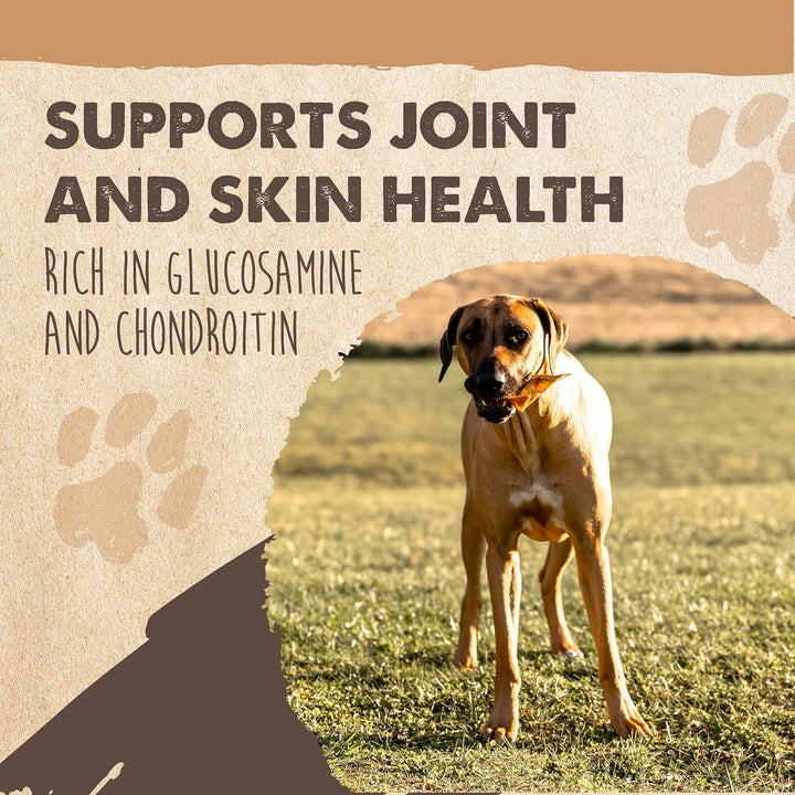 Half Pig Ears for Dogs - All Natural, Single Ingredient Treats. Better than Rawhide Pet Snacks for Small and Large/Medium Pets. Pigs Ear Dogs Chews (12 Pack)