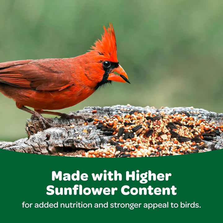 Wild Bird Food Basic Seed Blend, 5 Lb