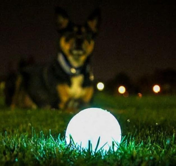 Glow in the Dark Bouncy Balls - Ball for Dogs, Chuckit Dog Toy, Max Glow Balls - Medium, 2.5 Inch Pack of 2