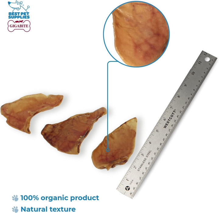 Gigabite Roasted Pig Ears for Dogs - Natural Dog Chews, Roasted Pigs Ears, Safe for Puppies and Aggressive Chewers, Cleans Teeth and Gums - Whole Ears, Pack of 22