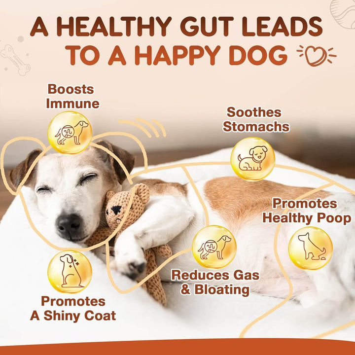 Probiotics for Dogs, Dog Probiotics for Digestive Health, plus Pumpkin and Fish Oil, for Gut & Itchy, 120 Soft Chews