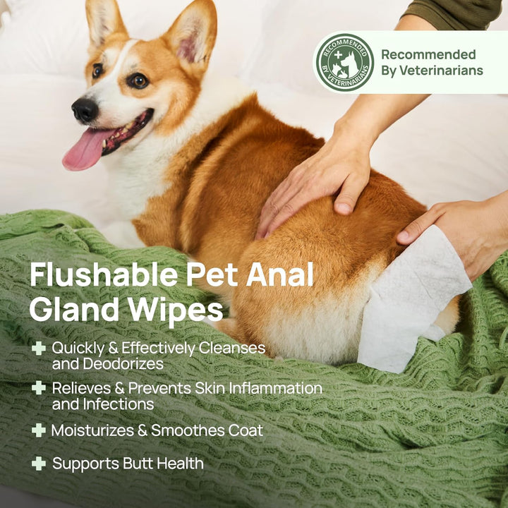 Wipes for Dogs & Cats, Vet Recommended Cleansing Deodorizing & Soothing Allergy Infections Anal Gland Wipes with Coconut Oil, Dog Wipes for Cleaning Butt Paw, Remove Small Animal Coat Stain