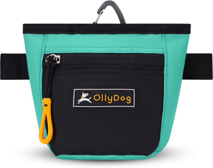 Goodie Treat Bag, Dog Treat Pouch, Waist Belt Clip for Hands-Free Training, Magnetic Closure, Dog Training and Behavior Aids, Three Ways to Wear (Raven S'25)