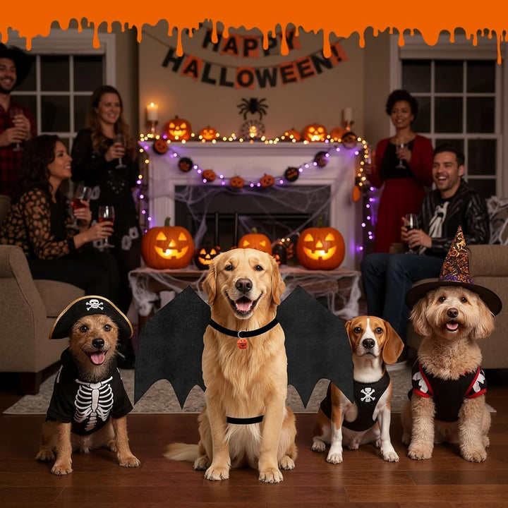 Large Dog Halloween Costumes, Adjustable Dog Bat Wings Costumes for Large Dogs with Pumpkin Bell Skeleton Print on the Back, Pet Costume Halloween Cosplay Party Dress Up, XL Black