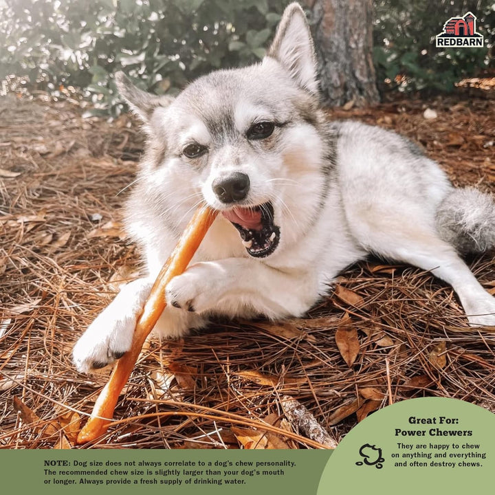 All-Natural Large 12" Beef Collagen Sticks for Dogs - Long Lasting Low-Odor Alternative to Traditional Rawhide & Bully Sticks - Supports Healthy Joints, Skin, & Coat - 3 Pack